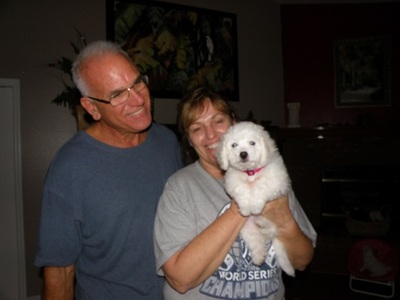 STEVIE NICKS with new family Ron and Cathy B. this is # 2 Blessed Bichon for them as well : )