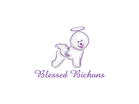 WELCOME TO THE BLESSED BICHONS 
